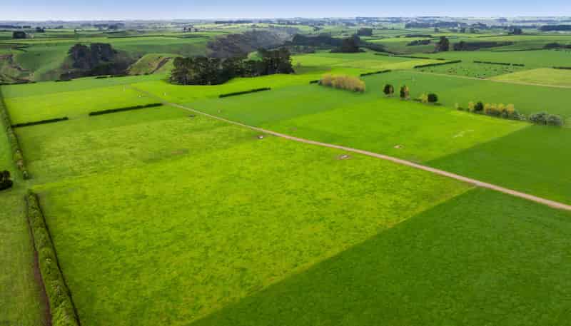 624 Meremere Road, Hawera