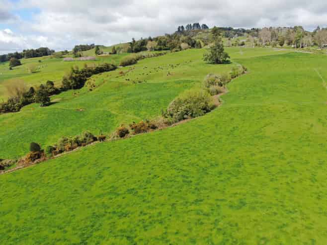 694 Troopers Road, Te Kuiti