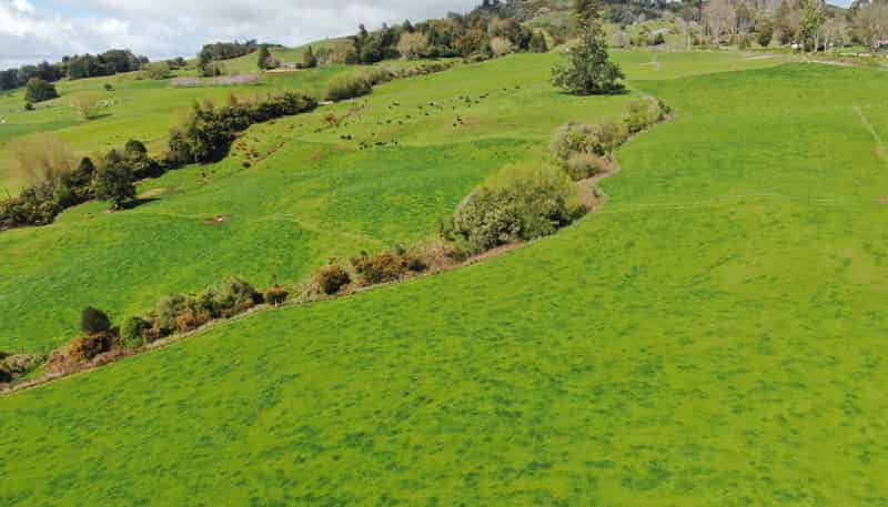 694 Troopers Road, Te Kuiti