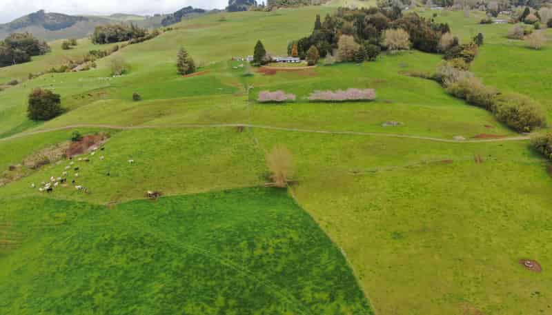 694 Troopers Road, Te Kuiti