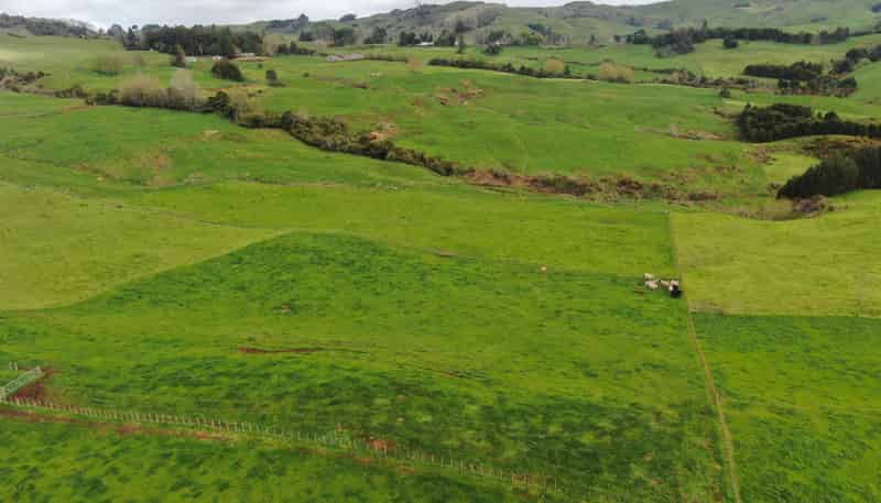 694 Troopers Road, Te Kuiti