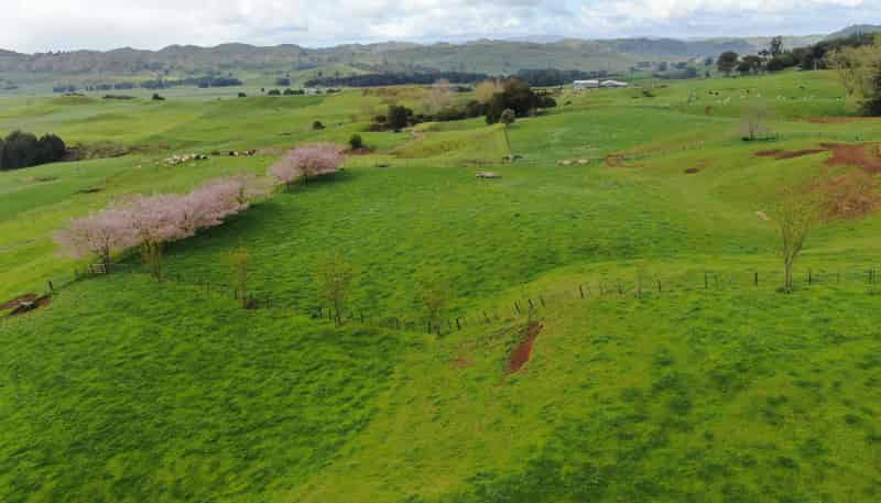 694 Troopers Road, Te Kuiti