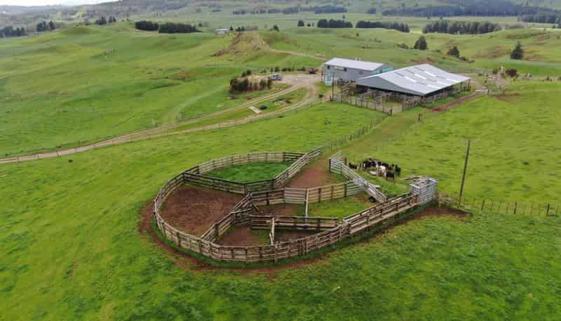 694 Troopers Road, Te Kuiti