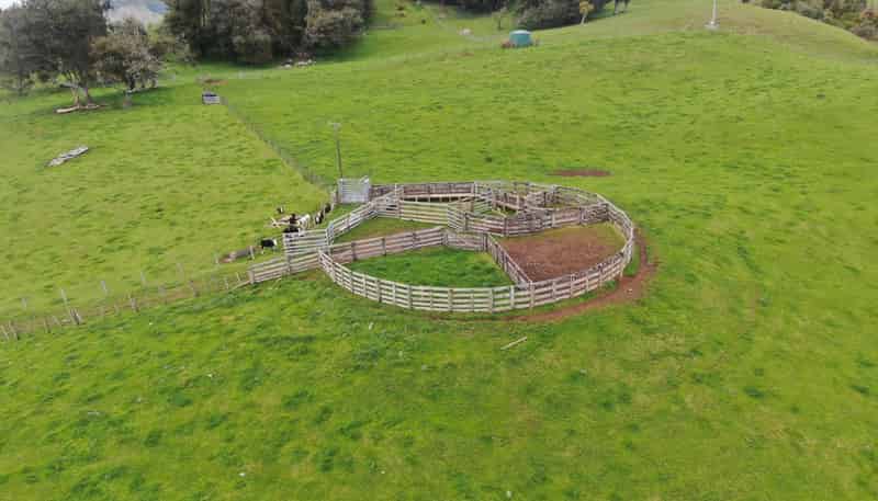 694 Troopers Road, Te Kuiti