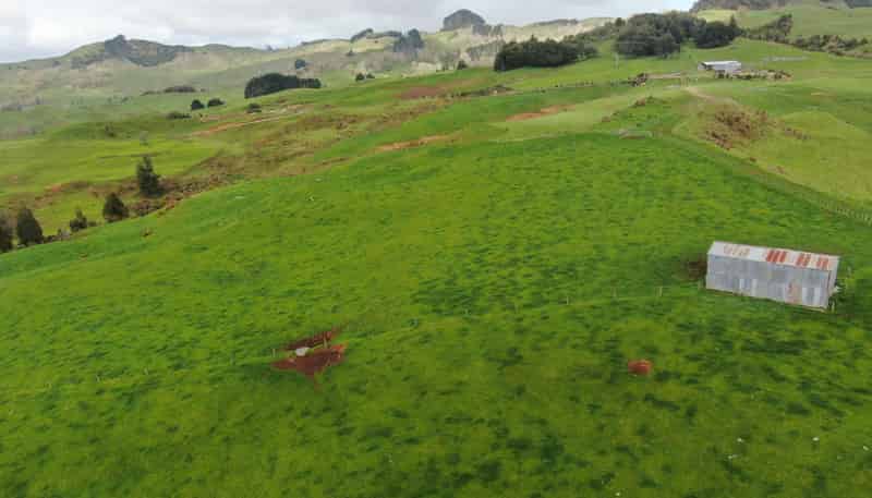 694 Troopers Road, Te Kuiti
