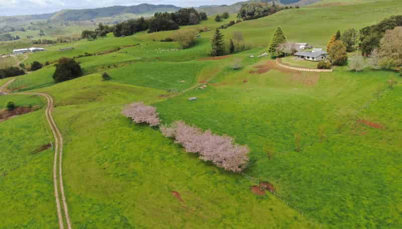 694 Troopers Road, Te Kuiti