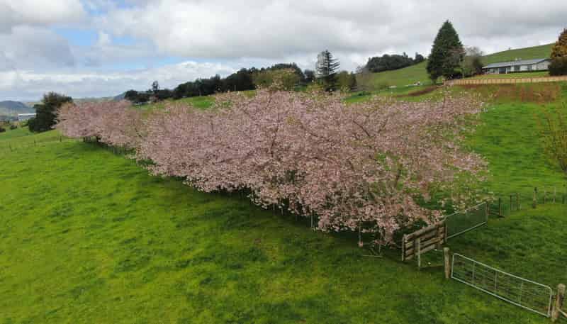 694 Troopers Road, Te Kuiti