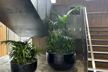 1/12 Twelfth Avenue, Lake Hayes Estate