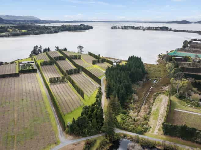 195A Tuapiro Road, Katikati