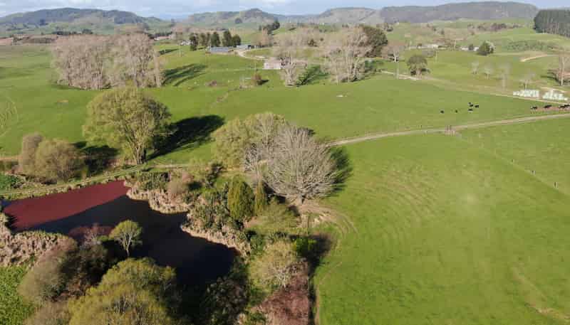 406 Aria Road, Piopio
