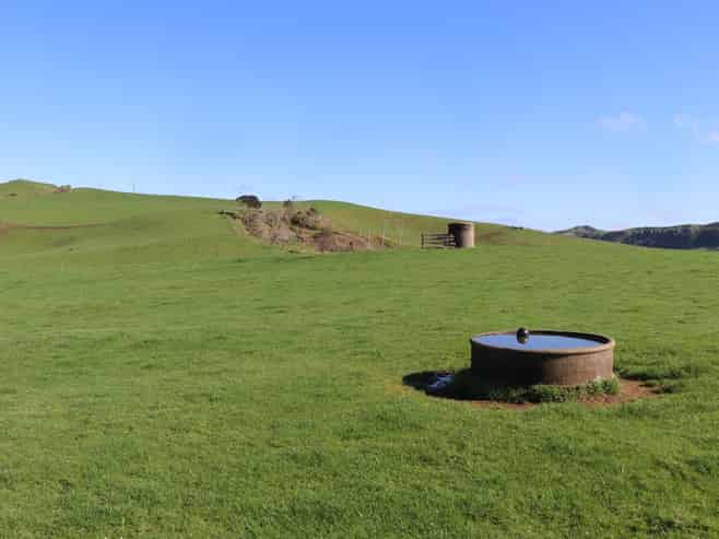259 Elgood Road, Ngaruawahia