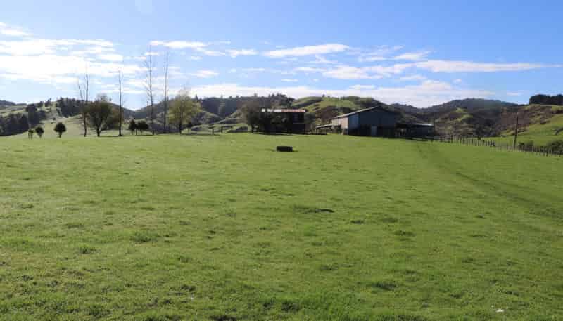 259 Elgood Road, Ngaruawahia