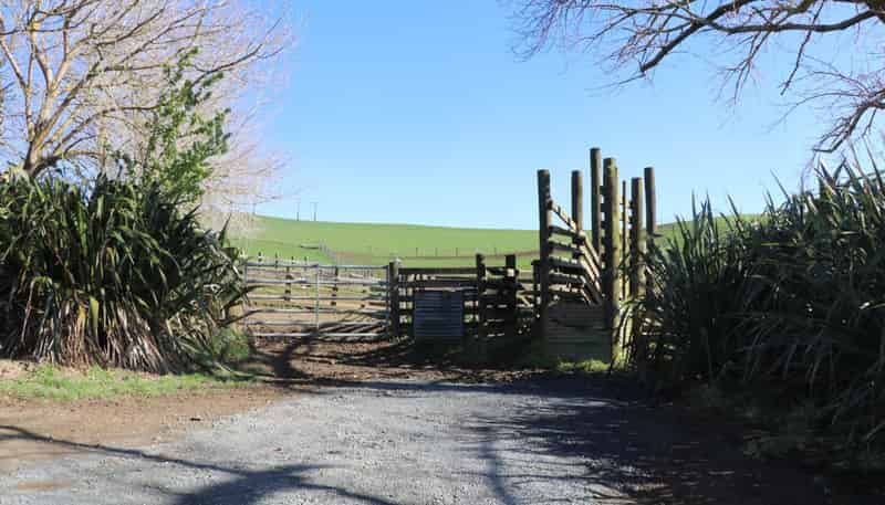 259 Elgood Road, Ngaruawahia
