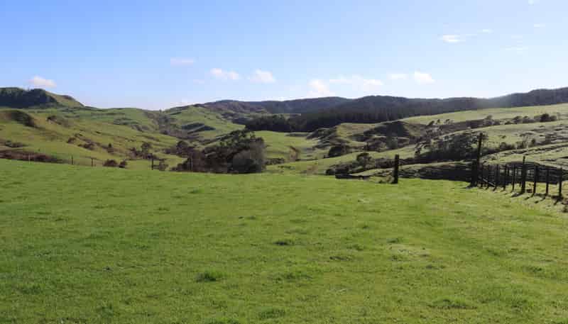259 Elgood Road, Ngaruawahia