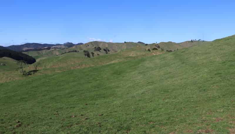 259 Elgood Road, Ngaruawahia