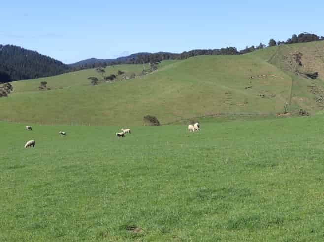 259 Elgood Road, Ngaruawahia