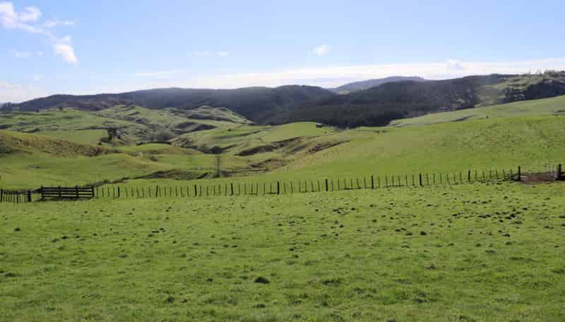 259 Elgood Road, Ngaruawahia