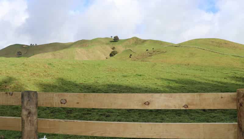 259 Elgood Road, Ngaruawahia