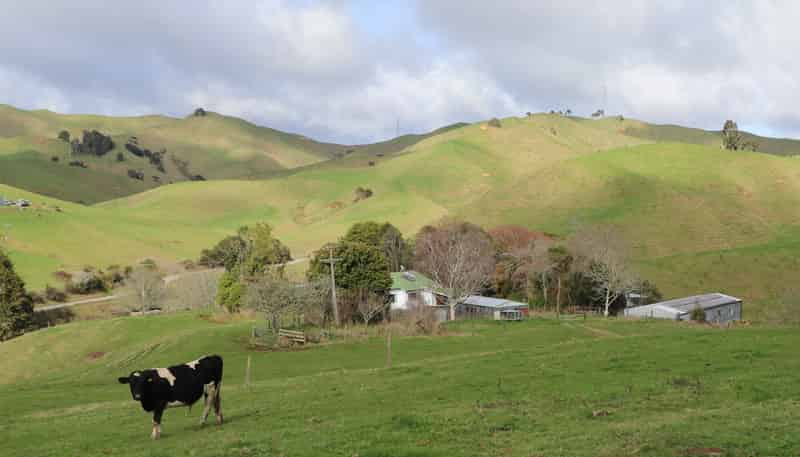 259 Elgood Road, Ngaruawahia