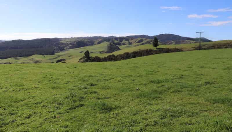 259 Elgood Road, Ngaruawahia