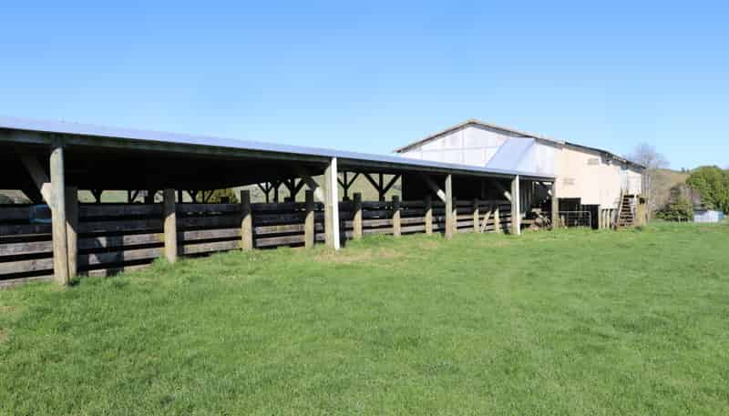 259 Elgood Road, Ngaruawahia