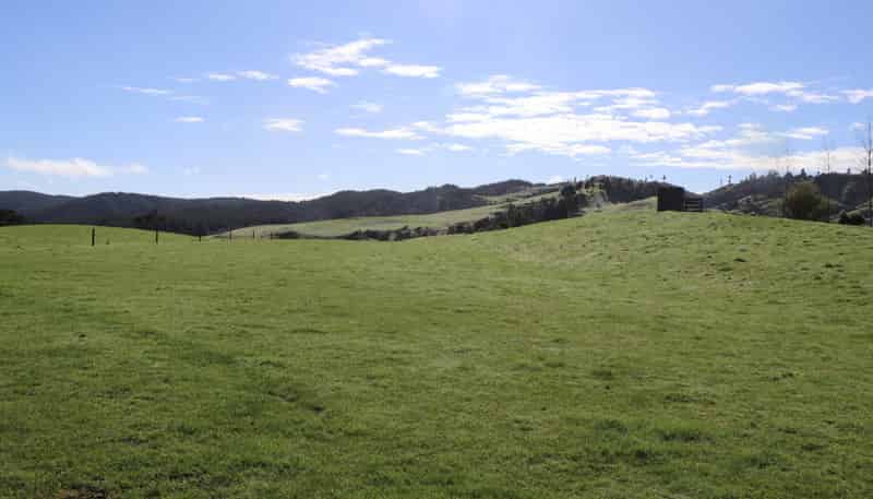 259 Elgood Road, Ngaruawahia