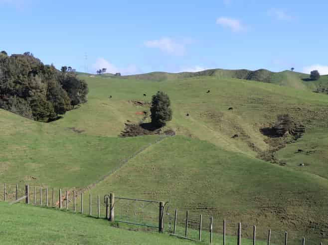 259 Elgood Road, Ngaruawahia
