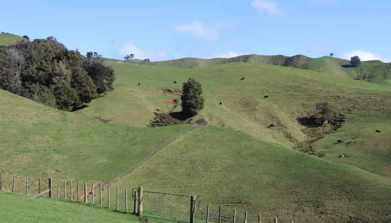 259 Elgood Road, Ngaruawahia