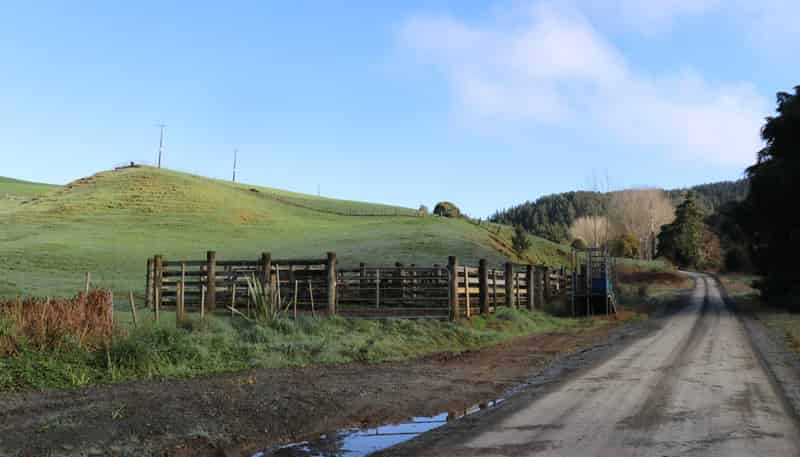 259 Elgood Road, Ngaruawahia