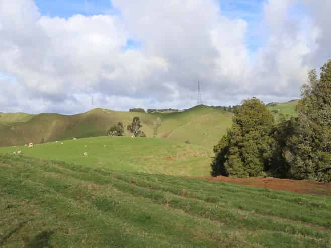 259 Elgood Road, Ngaruawahia