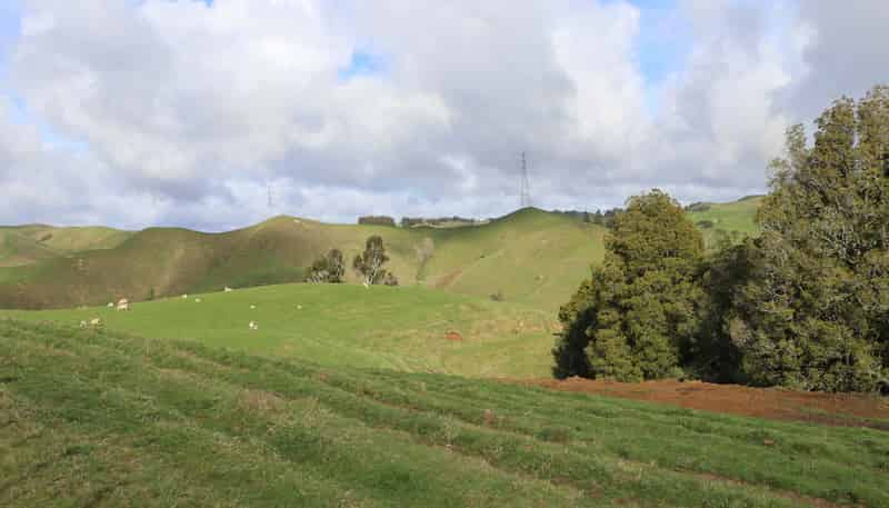 259 Elgood Road, Ngaruawahia