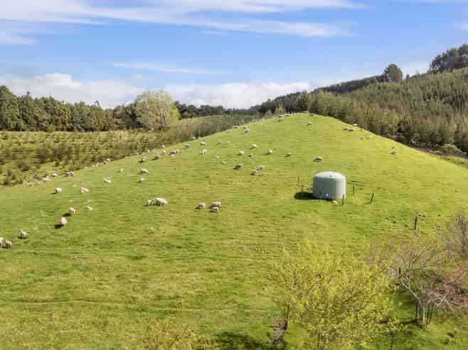 225A Woodland Road, Katikati