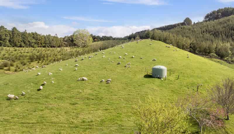 225A Woodland Road, Katikati