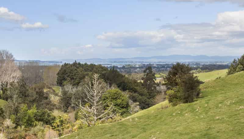 225A Woodland Road, Katikati