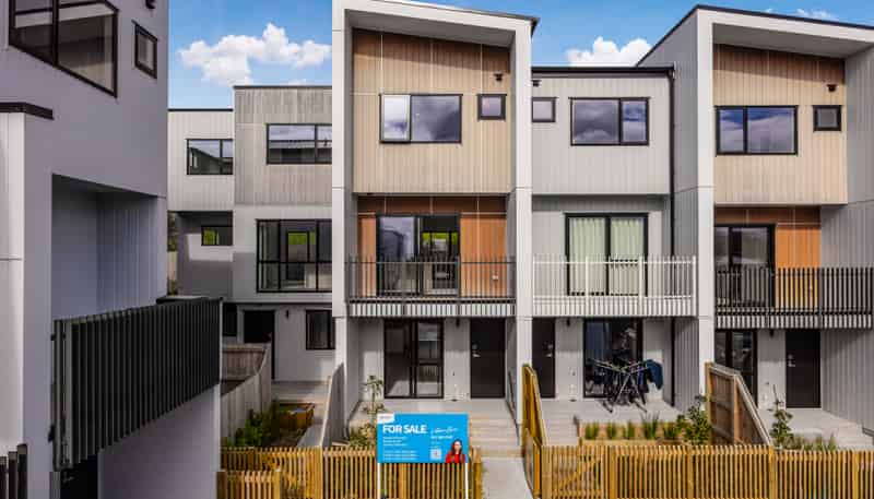 45 Tahepuia Lane, Mount Wellington