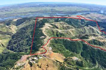 372ha Coastal giant with epic Tasman sea views
