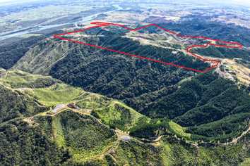 372ha Coastal giant with epic Tasman sea views