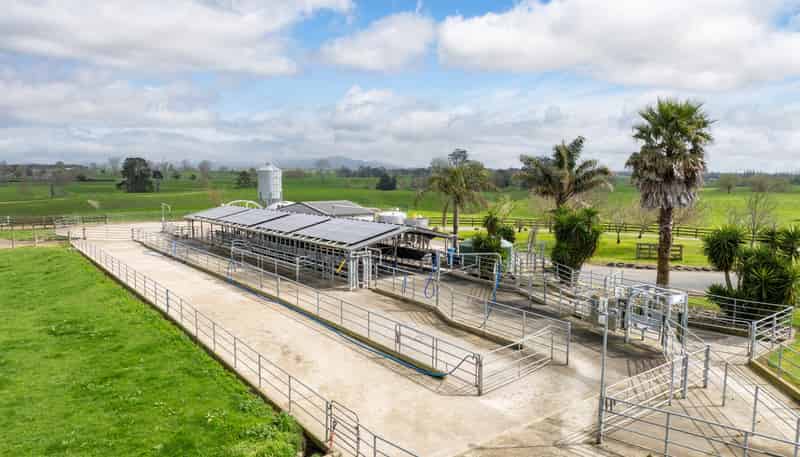 52 Kerr Road, RD 3, Te Poi, Matamata