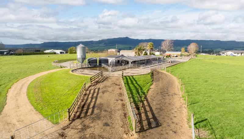 52 Kerr Road, RD 3, Te Poi, Matamata