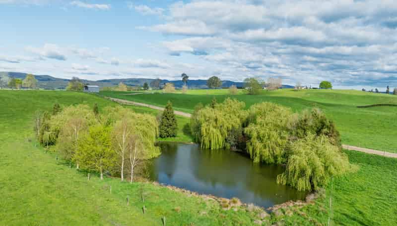 52 Kerr Road, RD 3, Te Poi, Matamata