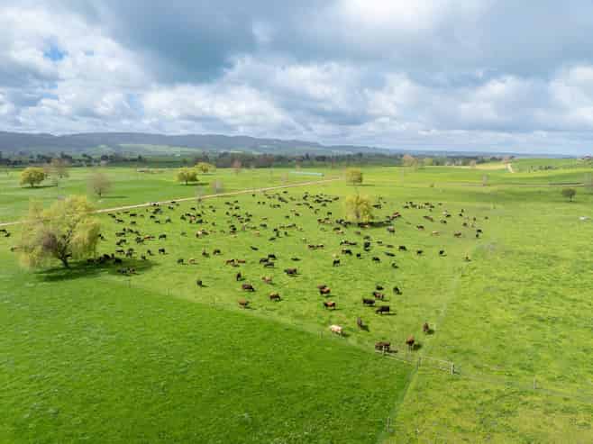 52 Kerr Road, RD 3, Te Poi, Matamata