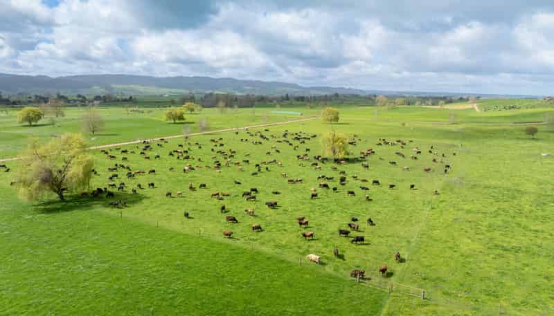 52 Kerr Road, RD 3, Te Poi, Matamata