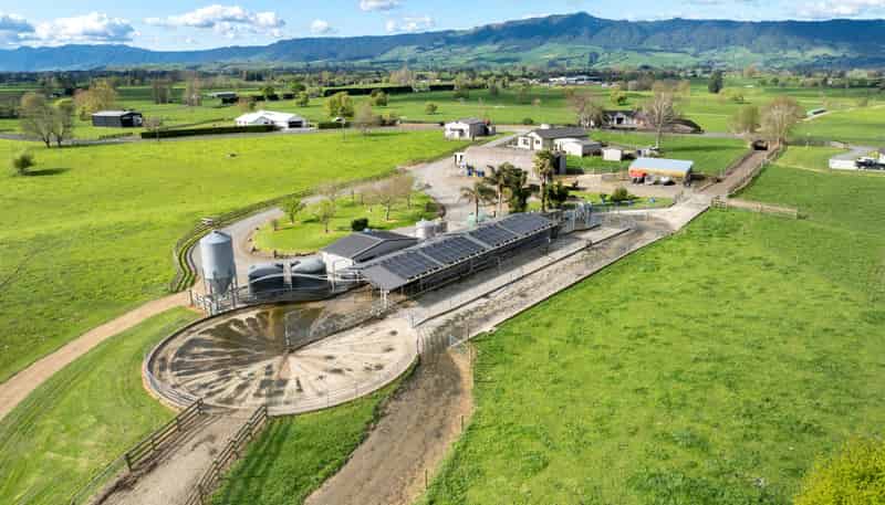 52 Kerr Road, RD 3, Te Poi, Matamata