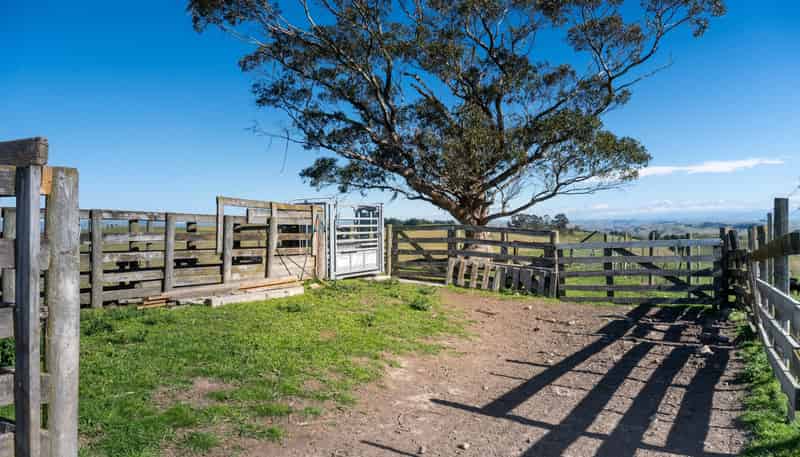201 Breckenridge Road, Puketapu