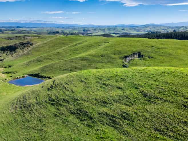 201 Breckenridge Road, Puketapu