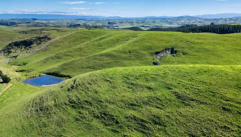 201 Breckenridge Road, Puketapu