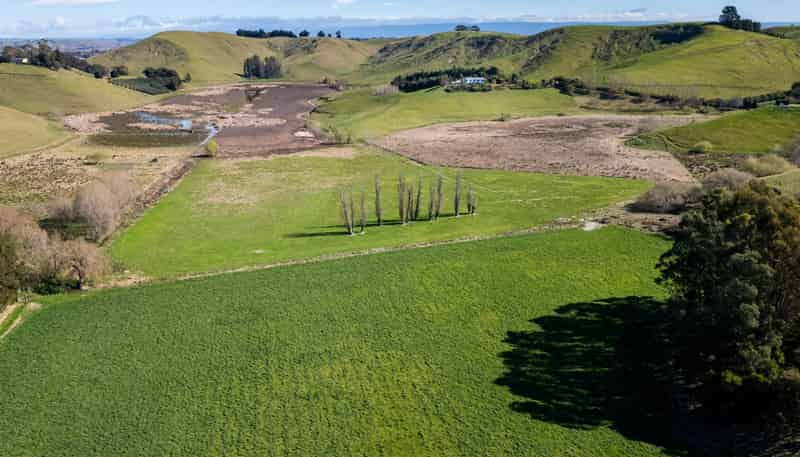 201 Breckenridge Road, Puketapu