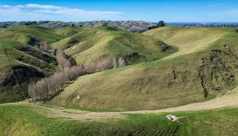 201 Breckenridge Road, Puketapu