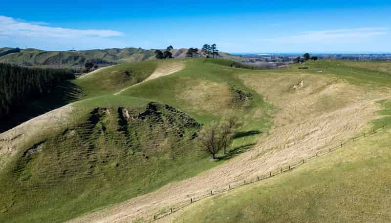 201 Breckenridge Road, Puketapu