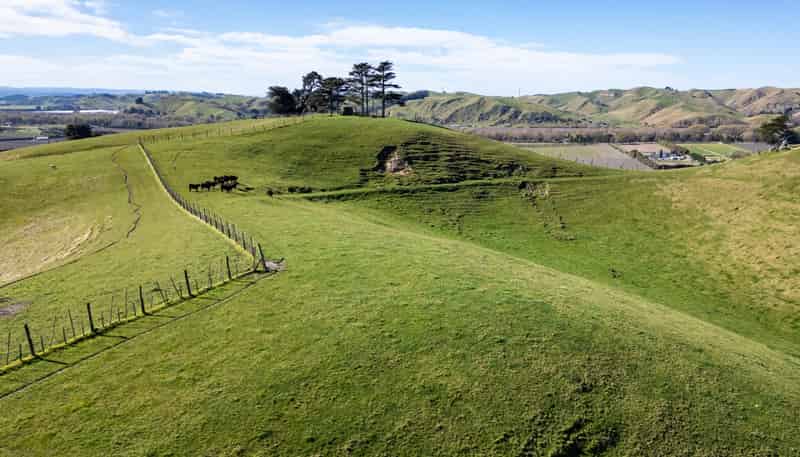 201 Breckenridge Road, Puketapu